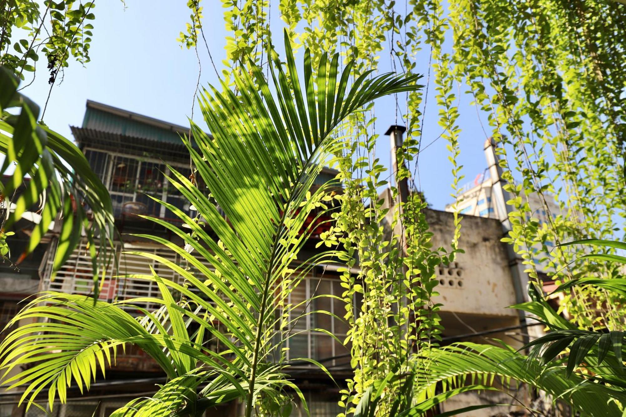 The Garden House Appartement Hanoi Buitenkant foto