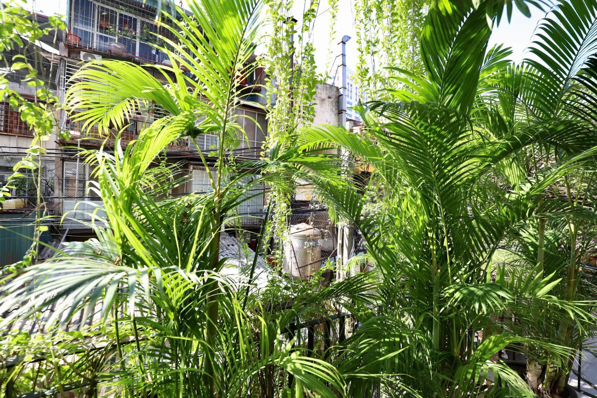 The Garden House Appartement Hanoi Buitenkant foto